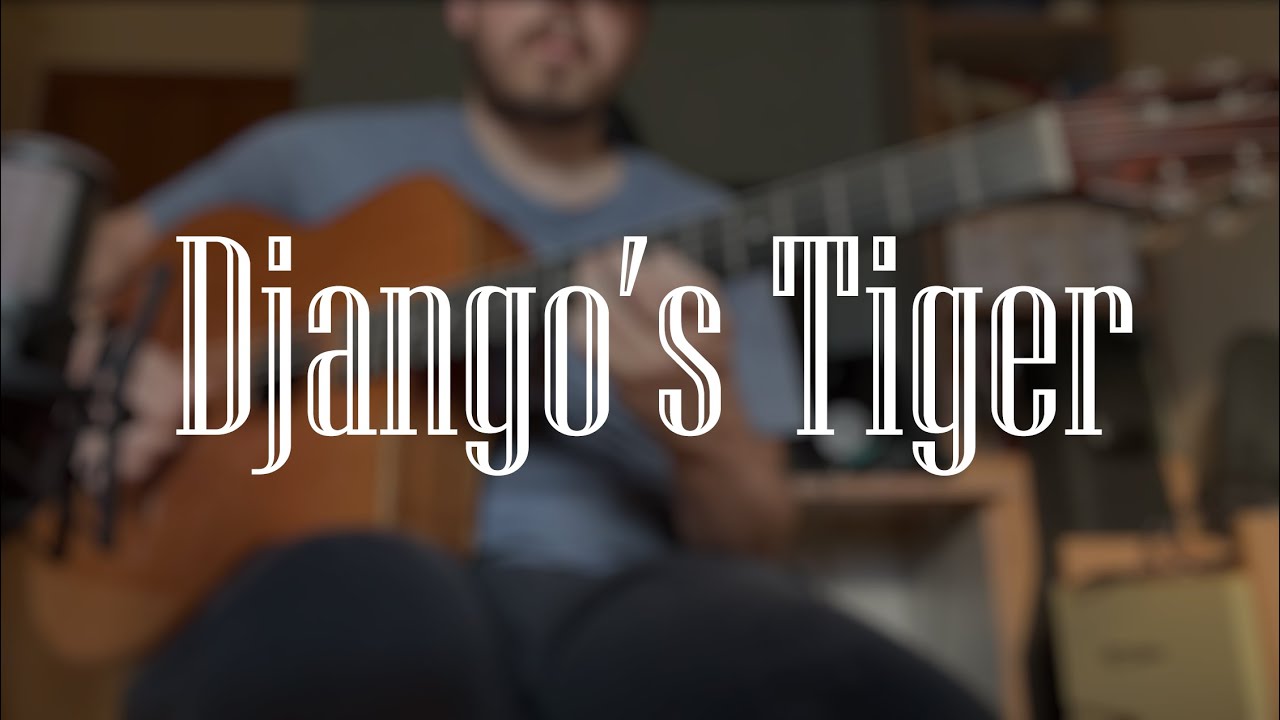 Django's Tiger - Bireli Lagrene solo (Killy Nonis pick)