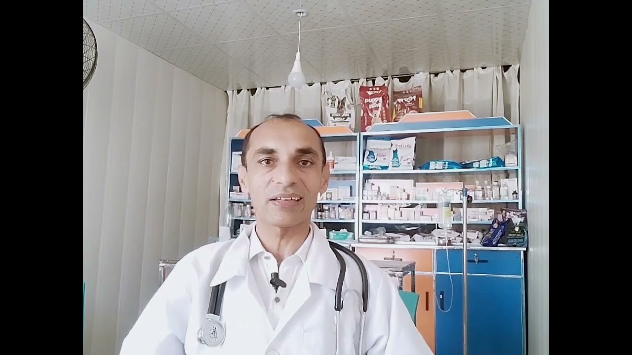 Milfone C,(Punjabi),DR Mehboob Alam Smart Pet Clinic,03454740322 03051450322