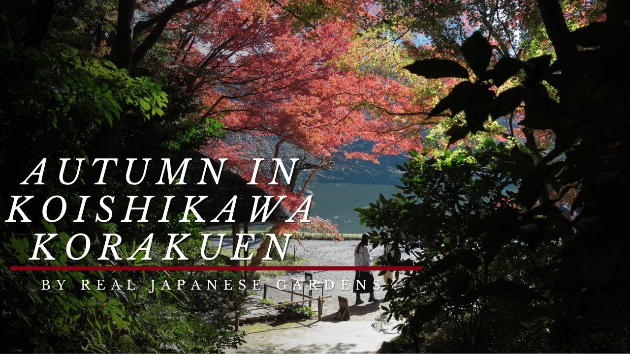 Autumn in KOISHIKAWA KORAKUEN in Tokyo by Real Japanese Gardens 2024 4K HD