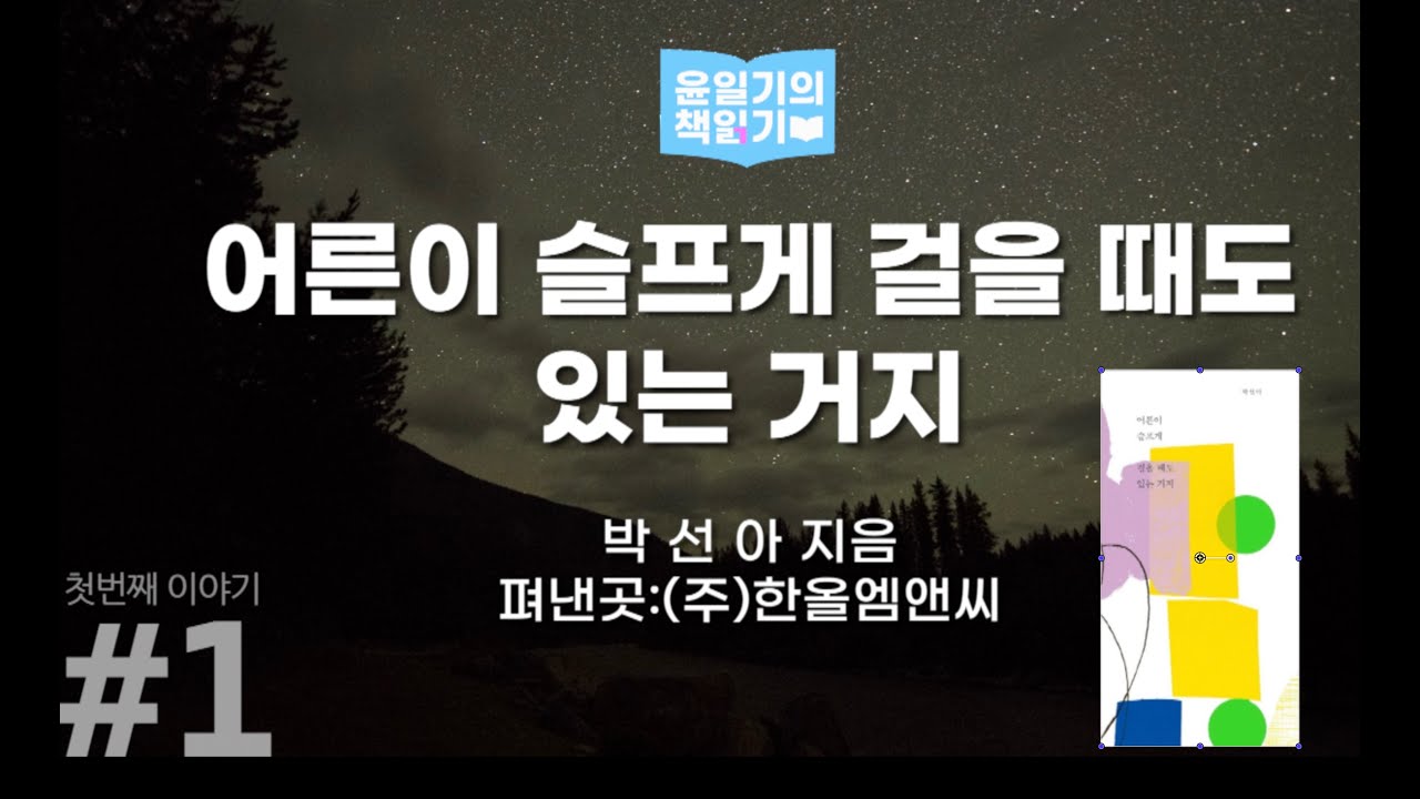 [윤일기의책읽기]&ldquo;어른이 슬프게 걸을 때도 있는거지&rdquo;박선아 에세이_오디오북ASMR/베스트셀러 책읽어주는 남자_잠잘때 듣는 라디오
