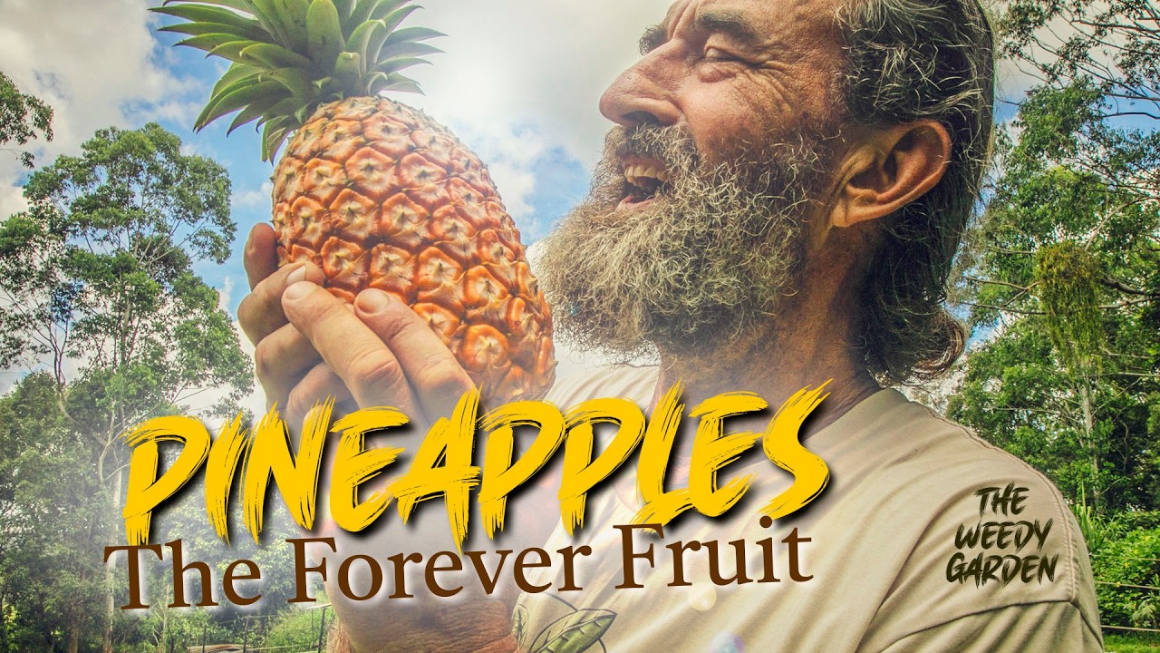 How One Man Built a Pineapple Empire