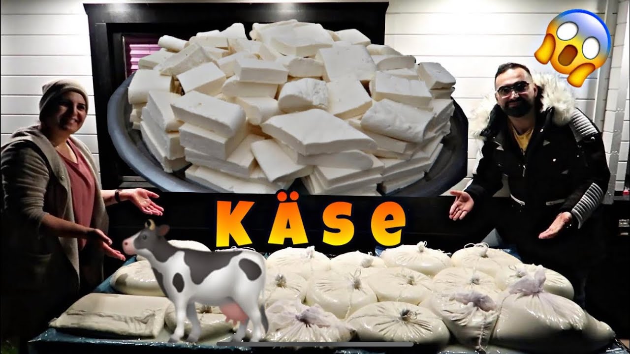 SELBSTGEMACHTEN KÄSE ZUM FRÜHSTÜCK FRISCH VOM BAUERN 🤤