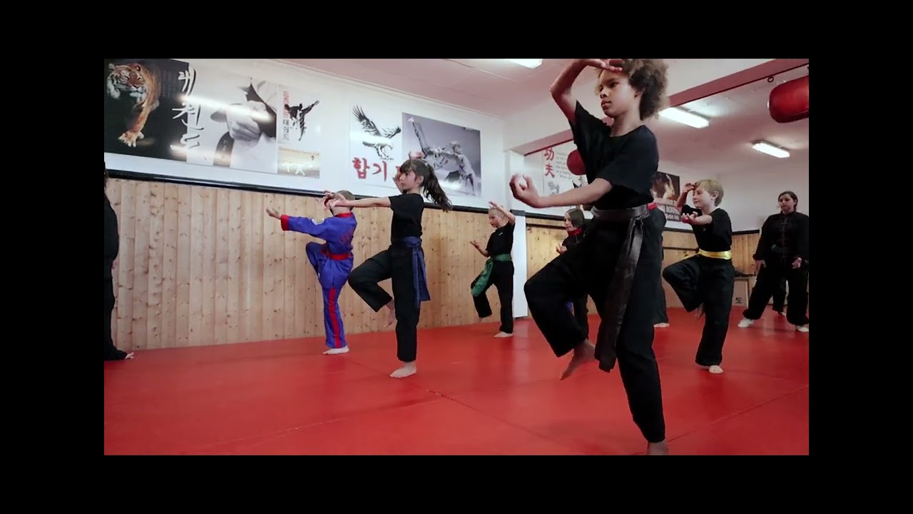 kungfu