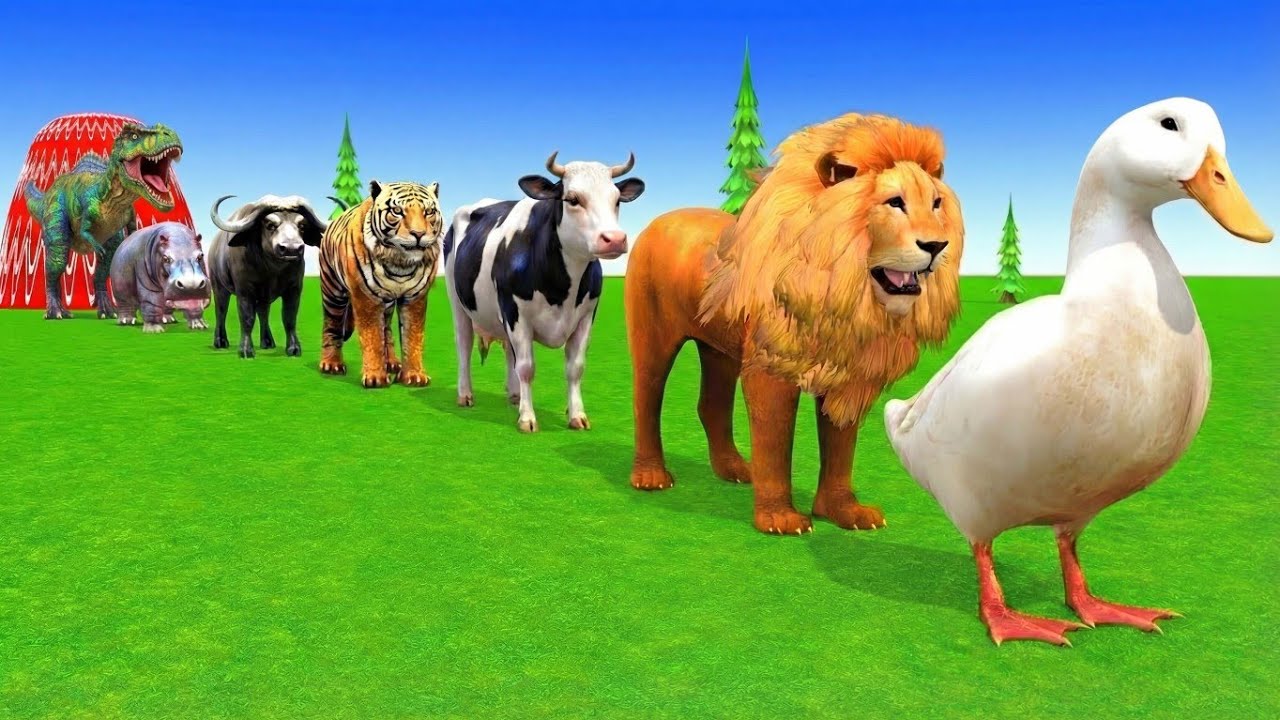 Long Slide Game with Cow Elephant Gorilla Hippopotamus Tiger 3d Animal Game Funny 3d Animals
