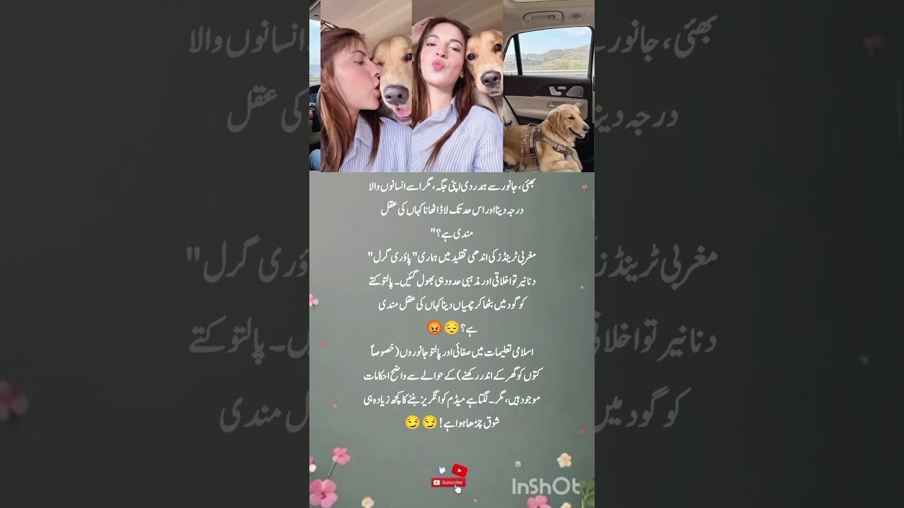 Dananeer Mobeen Dog Video Controversy!    😱 #shorts /Dananeer Copying Western Trends! 😡
