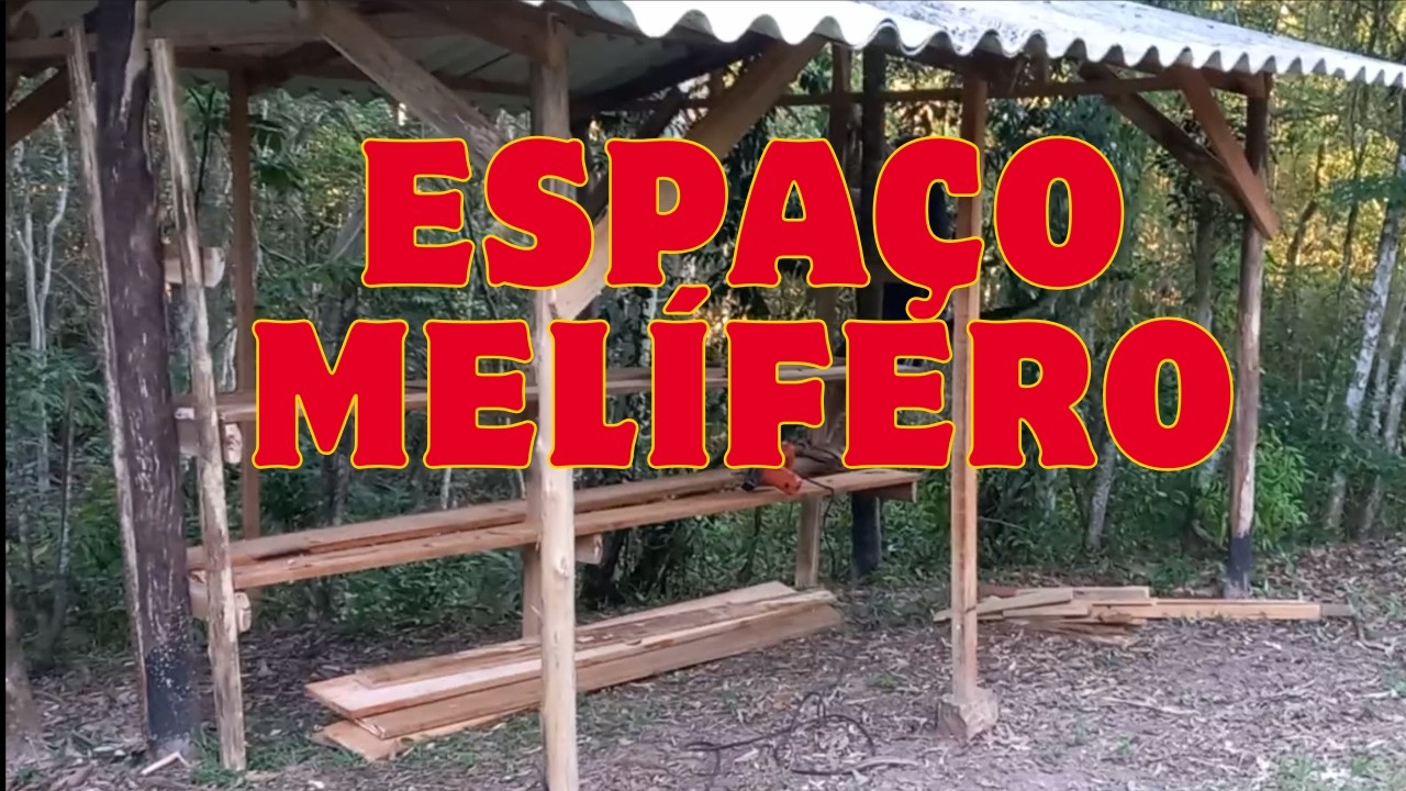 Meliponário para nossas abelhas sem ferrão