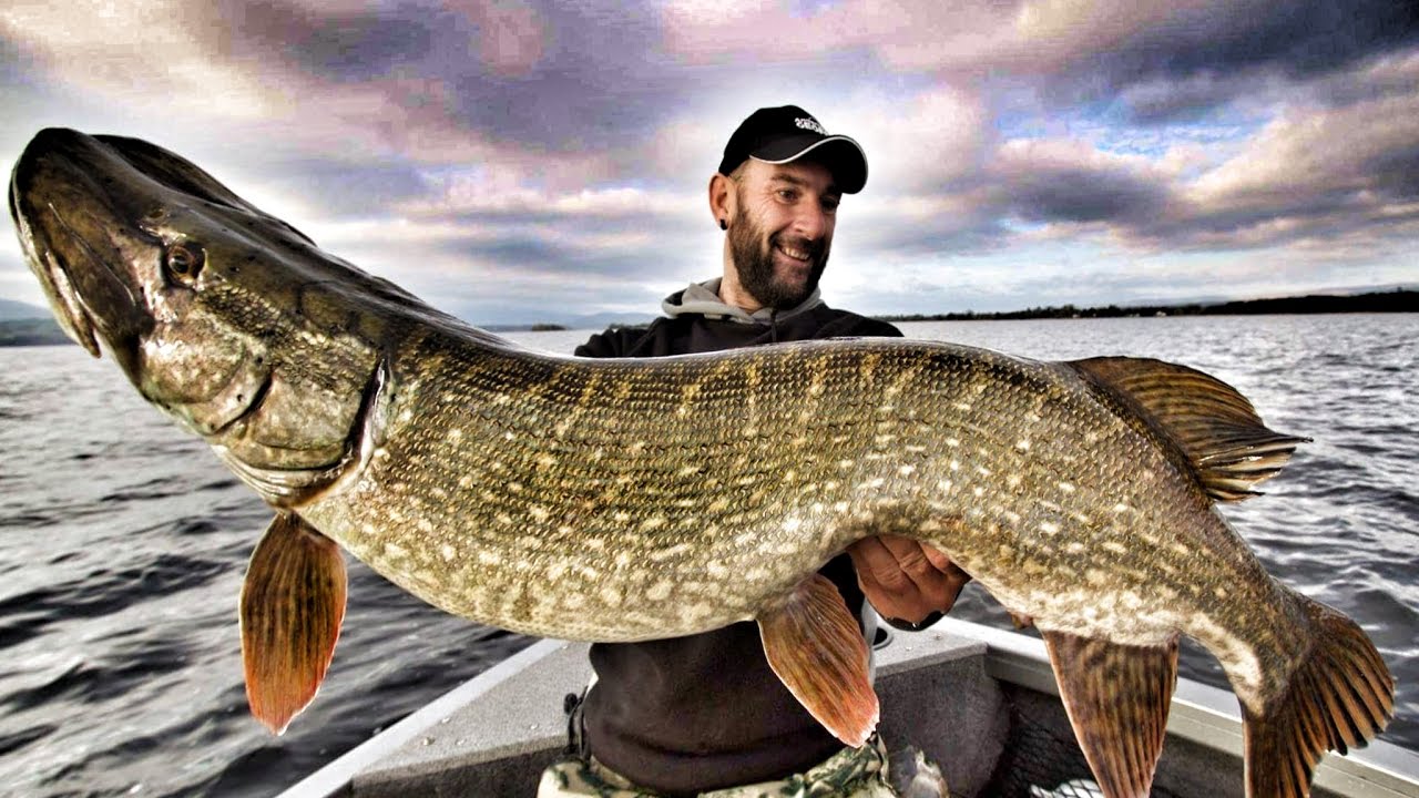 Monster Pike Fishing in Ireland - Episode 1 - HD by Yuri Grisendi