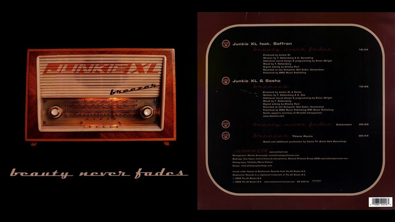 Junkie XL feat. Saffron - Beauty Never Fades