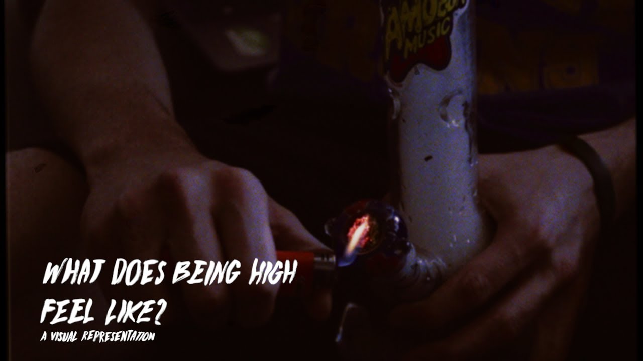 Cannabis Kingdom: What does being high feel like?