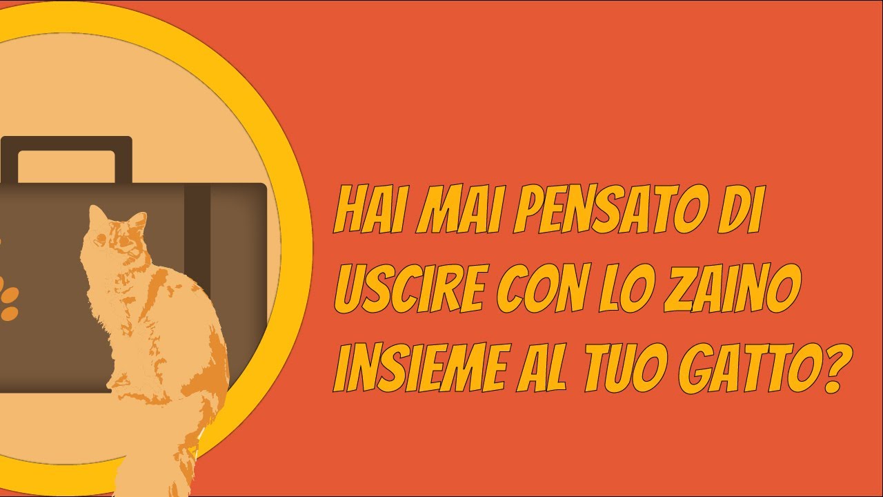 Ecco il primo accessorio da usare con la pettorina! Lo Zaino 🎒
