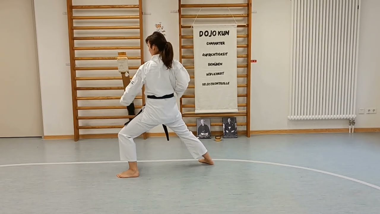 gedan barai zenkutsu dachi shotokan karate
