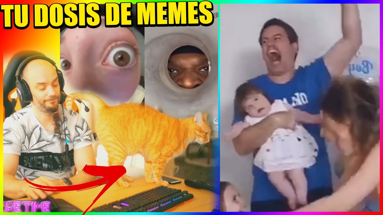 Memes para ver con gatitos - SI TE RÍES... MEME PERD0NAS #1105