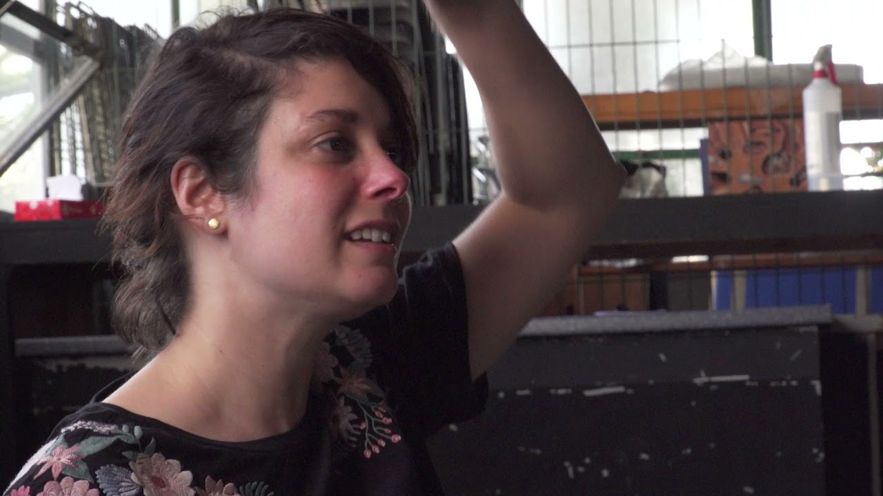 Atelier scénario 2021 / Making of / Quinzaine en actions