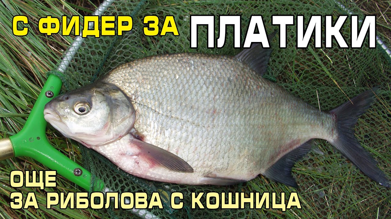 С ФИДЕР за платики и всичко за риболова с кошница