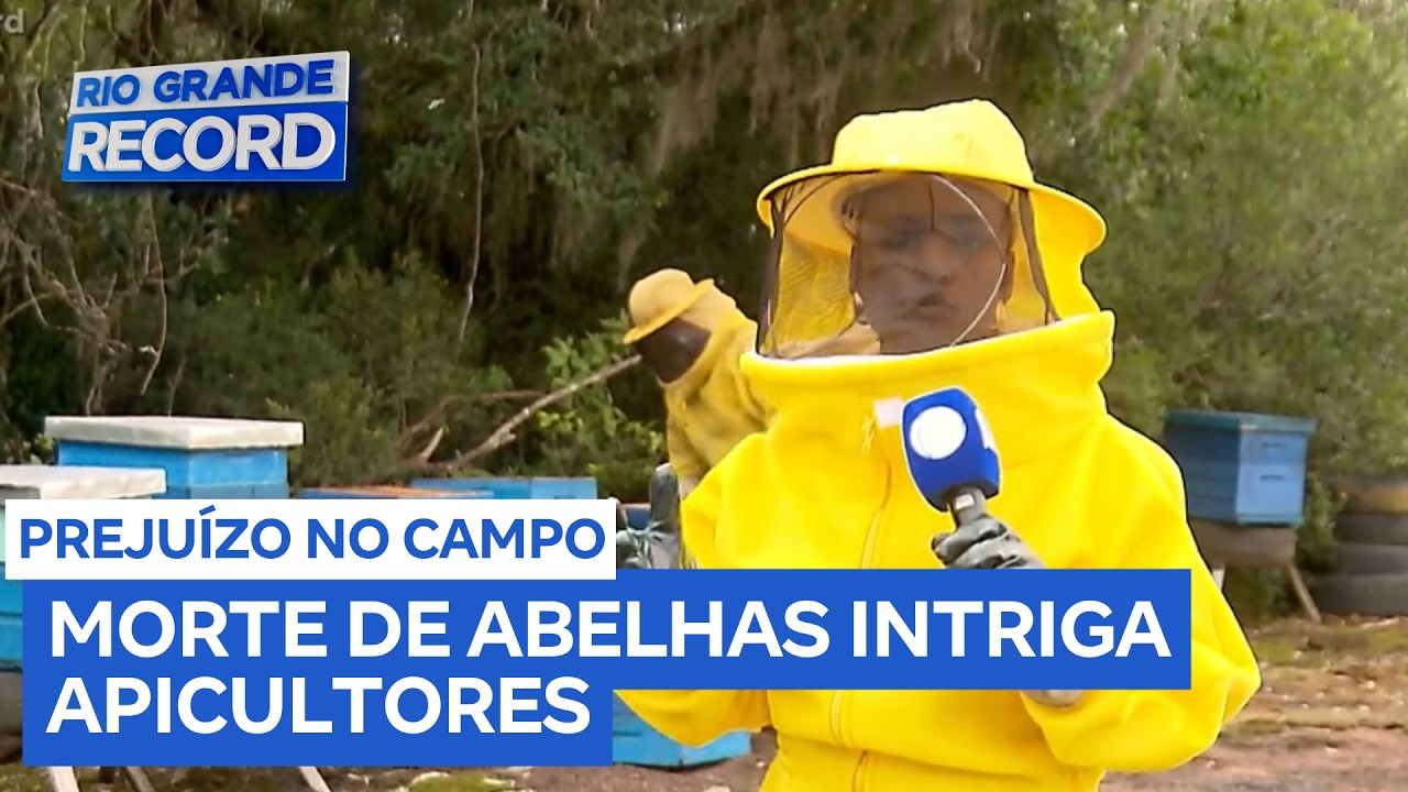 Milhões de abelhas aparecem mortas no interior do RS