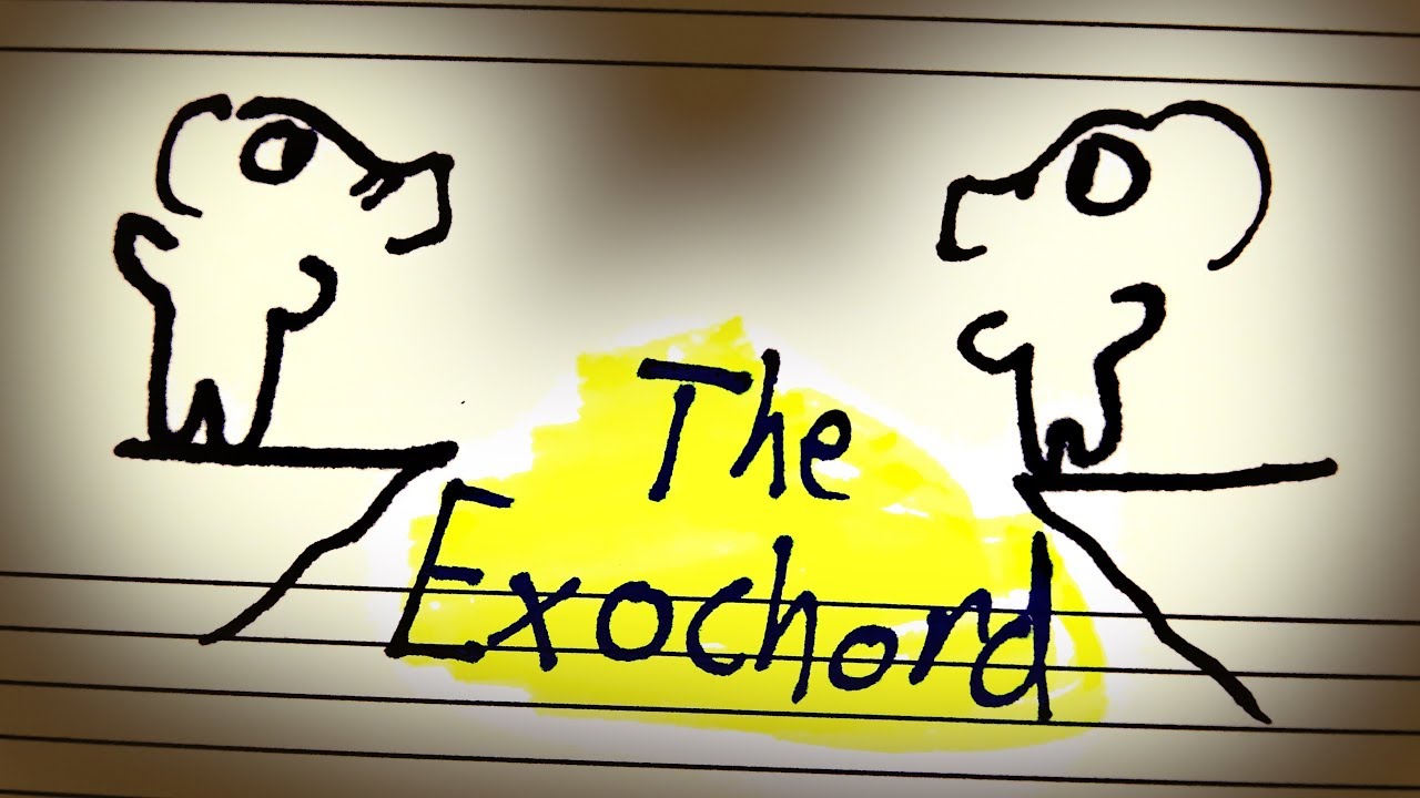 The Furthest Distance Between Two Chords