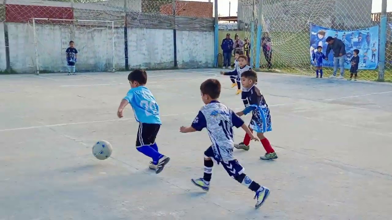 Pelusa - Armonía 2019