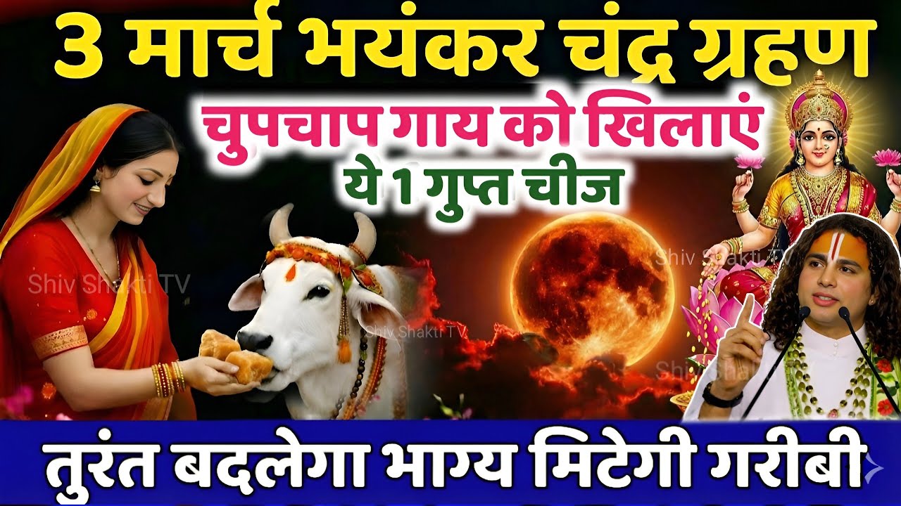 3 मार्च चंद्रग्रहण : गाय को चुपचाप खिला दें 2 रुपये चीज, 24 घंटे में बदलेगी किस्मत | Chandra Grahan