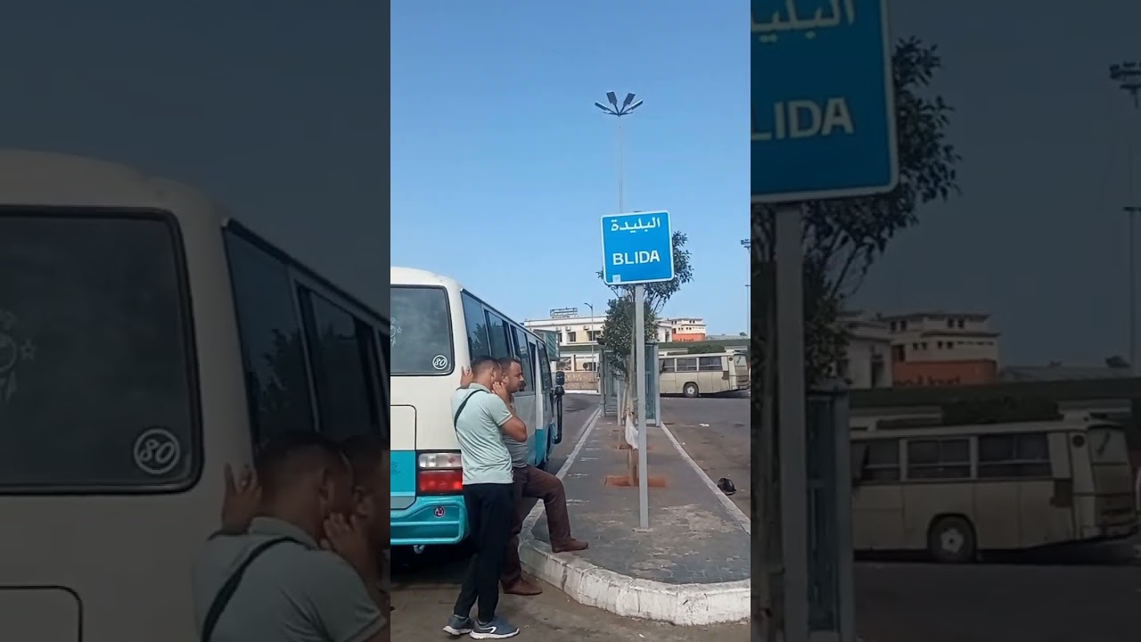 تحويسة 🗺️🧳 : التنقل في الجزائر العاصمة 16 🇩🇿 ⬅️ محطة تافورة/ 2 ماي 🚌🚍🚏