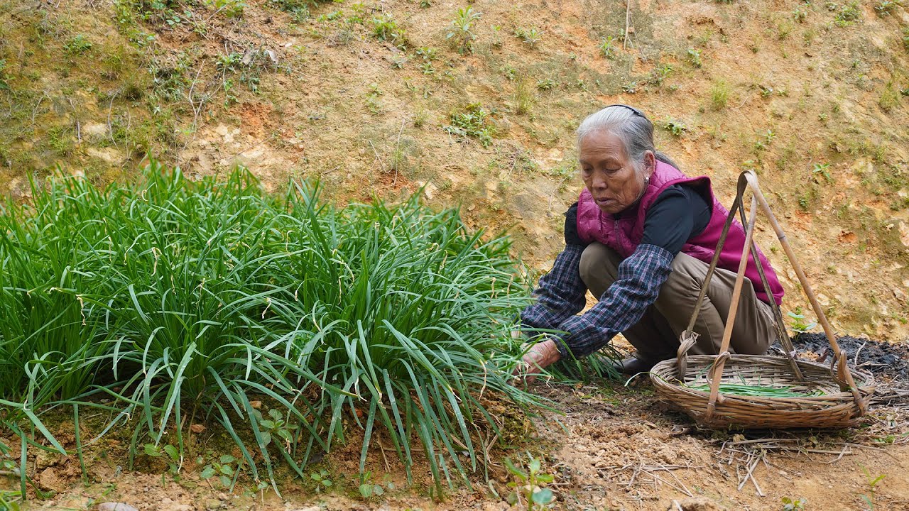 初春韭菜嫩綠，阿婆教你3種家常做法，賣相不佳，但好吃過癮｜Grandma from Guangxi makes several Chinese food with leeks