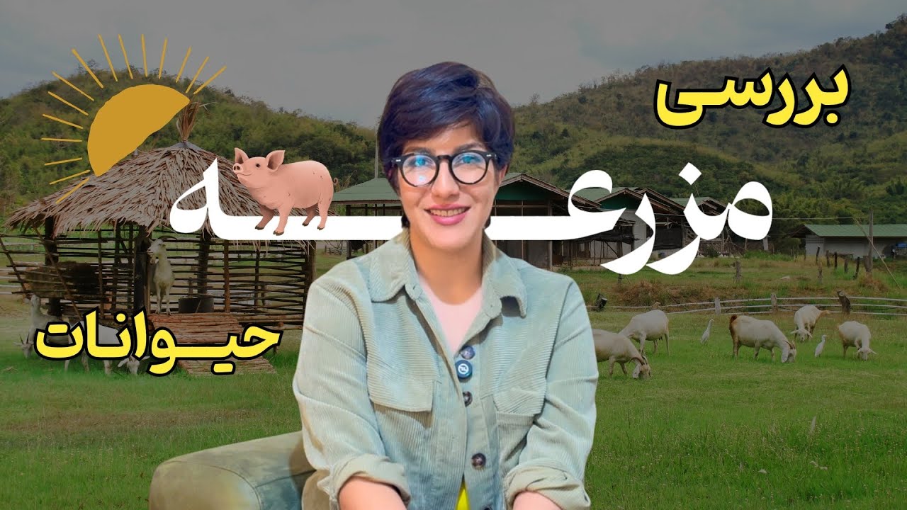 چرا هنوز باید مزرعه حیوانات بخوانیم؟ | بررسی، نمادشناسی و معرفی کتاب مزرعه حیوانات اثر جورج اورول