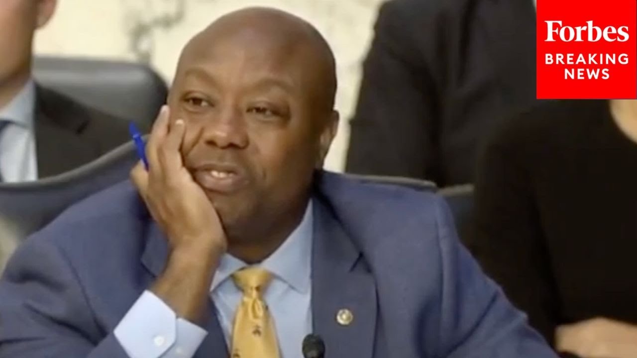 ‘I Love When You Guys Are Silent, Says So Much’: Tim Scott Stumps Bank CEOs