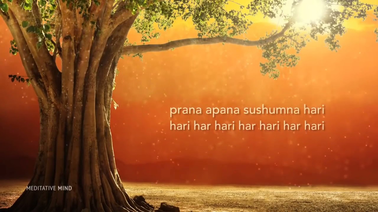 bài thiền giúp bạn an nhiên magical healing mantras ✓ prana apana sushumna hari