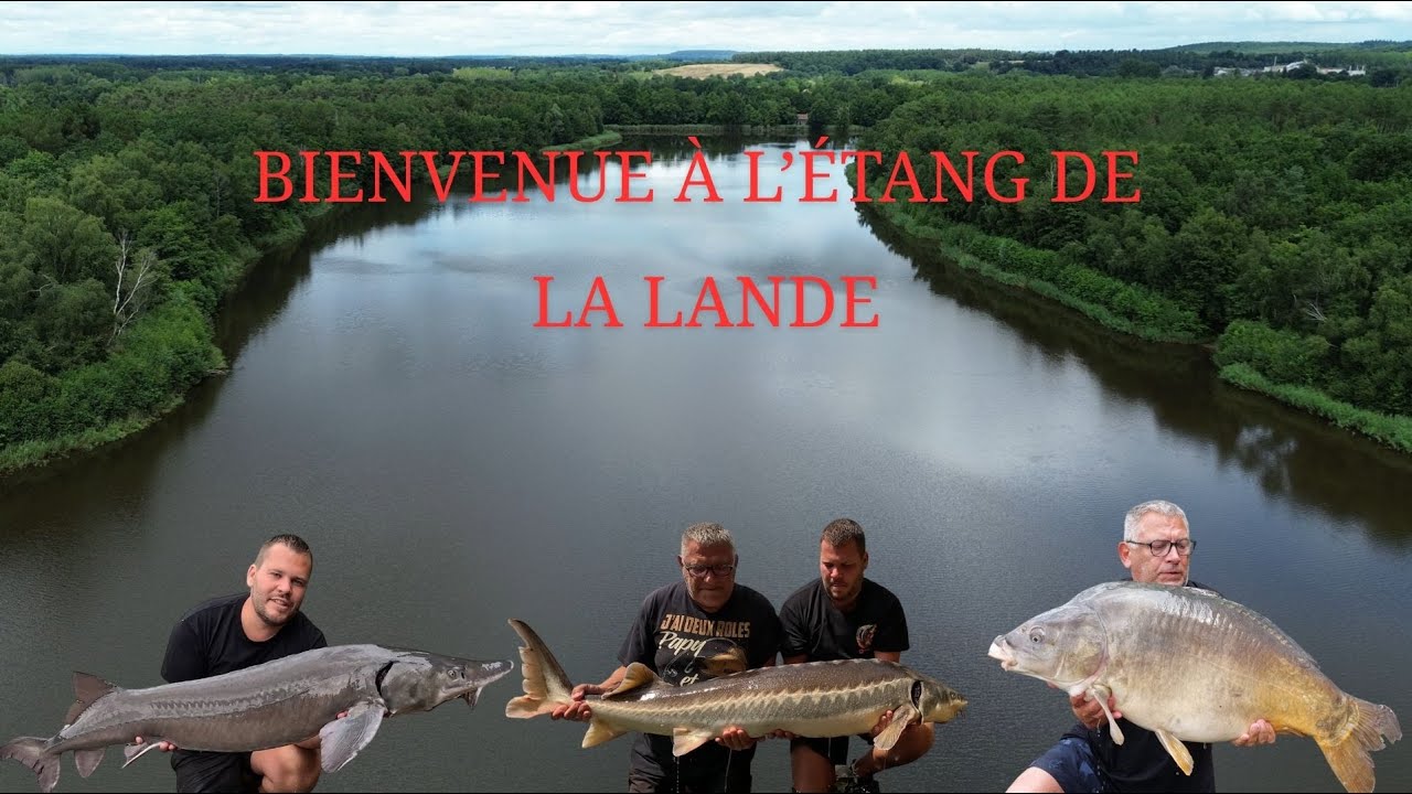 ESTURGEON DE L'ETANG DE LA LANDE