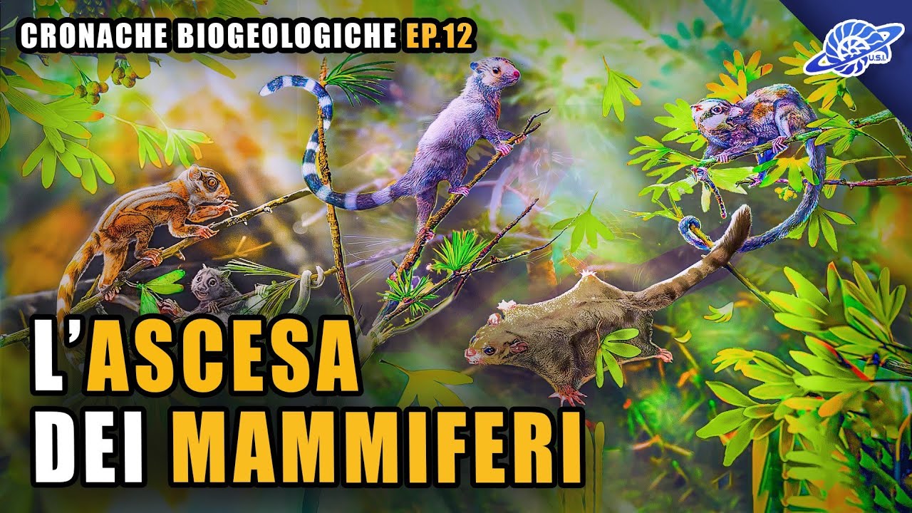 L'Ascesa dei Mammiferi | Paleocene (Paleogene) | Cronache Biogeologiche Ep. 12