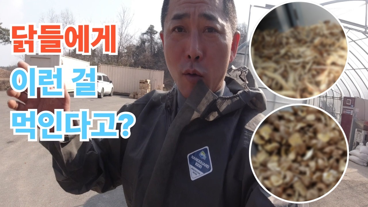 닭들에게 이런 걸 먹인다고?