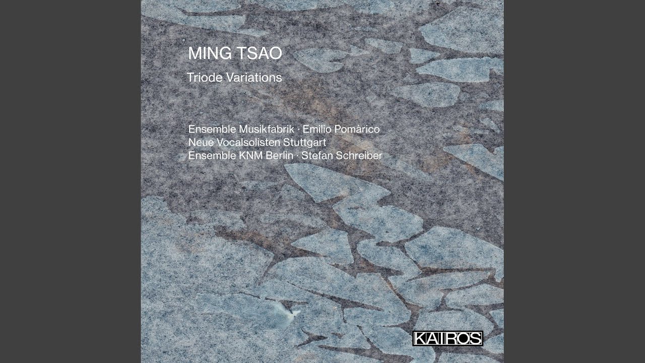 Das Wassergewordene Kanonbuch (2016-17) for Chamber Choir: Das Geschriebene