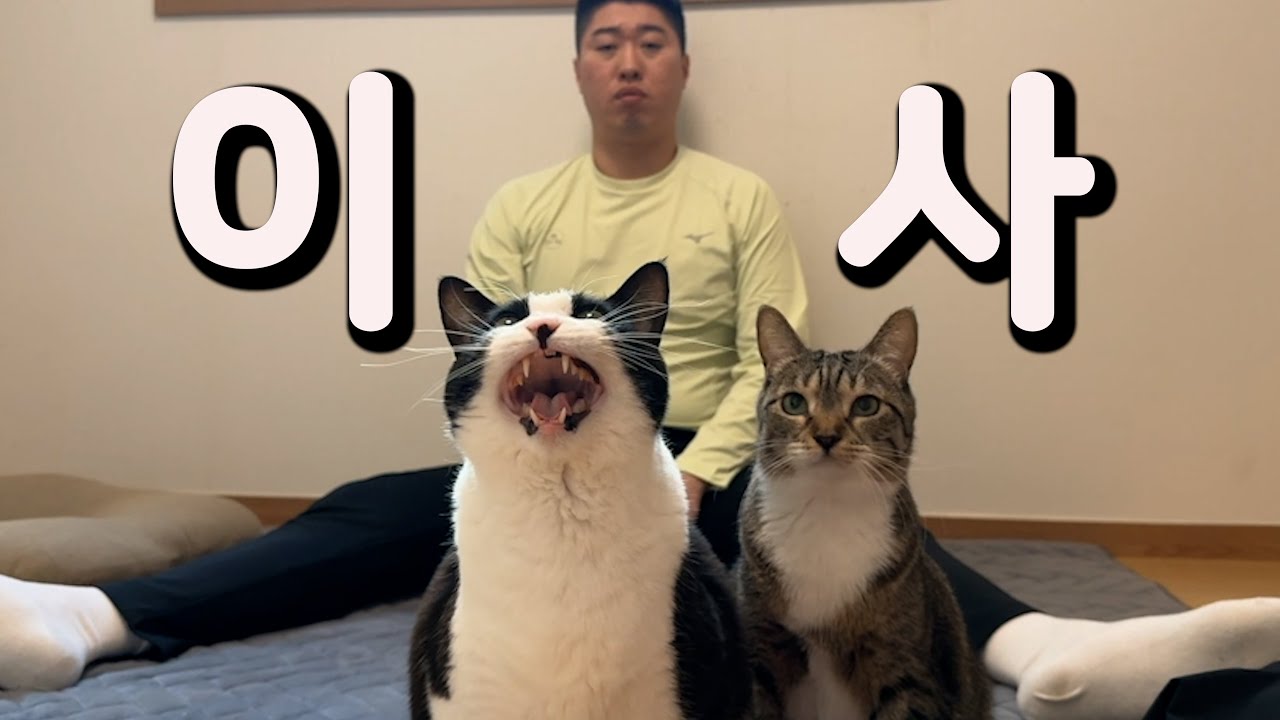 춘봉아 첨지야 헌 집 줄게 새 집 다오