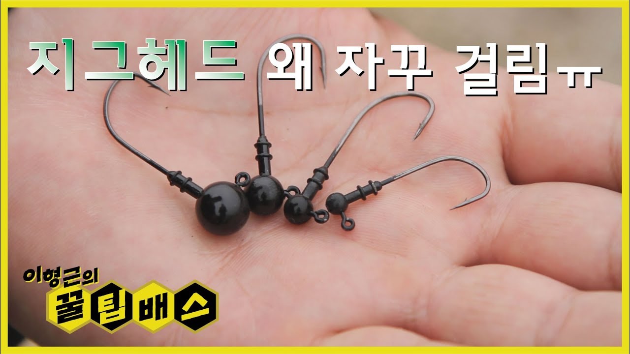 [꿀팁배스 Ep105] 배스낚시 지그헤드, 친하게 지내고 있나요?