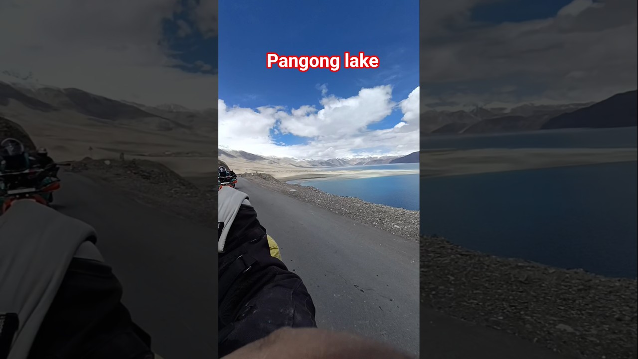pangong lake ladakh 