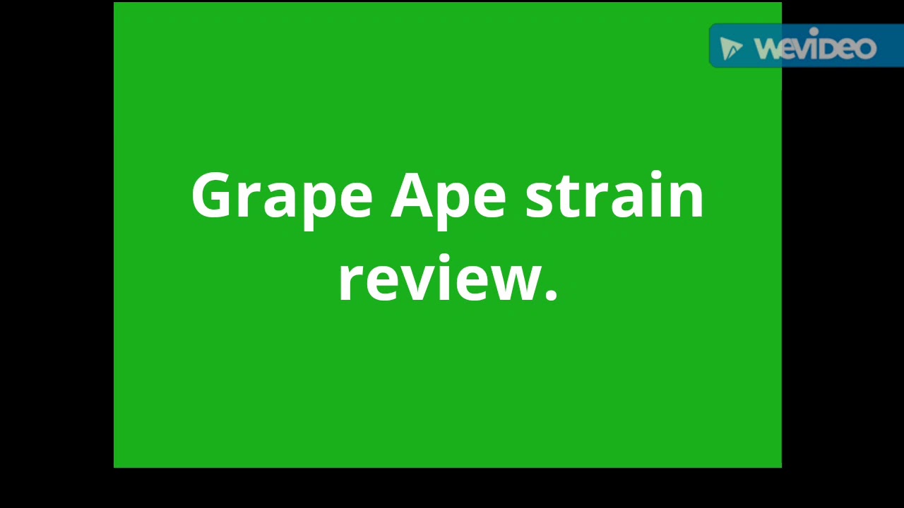 Grape Ape strain review.