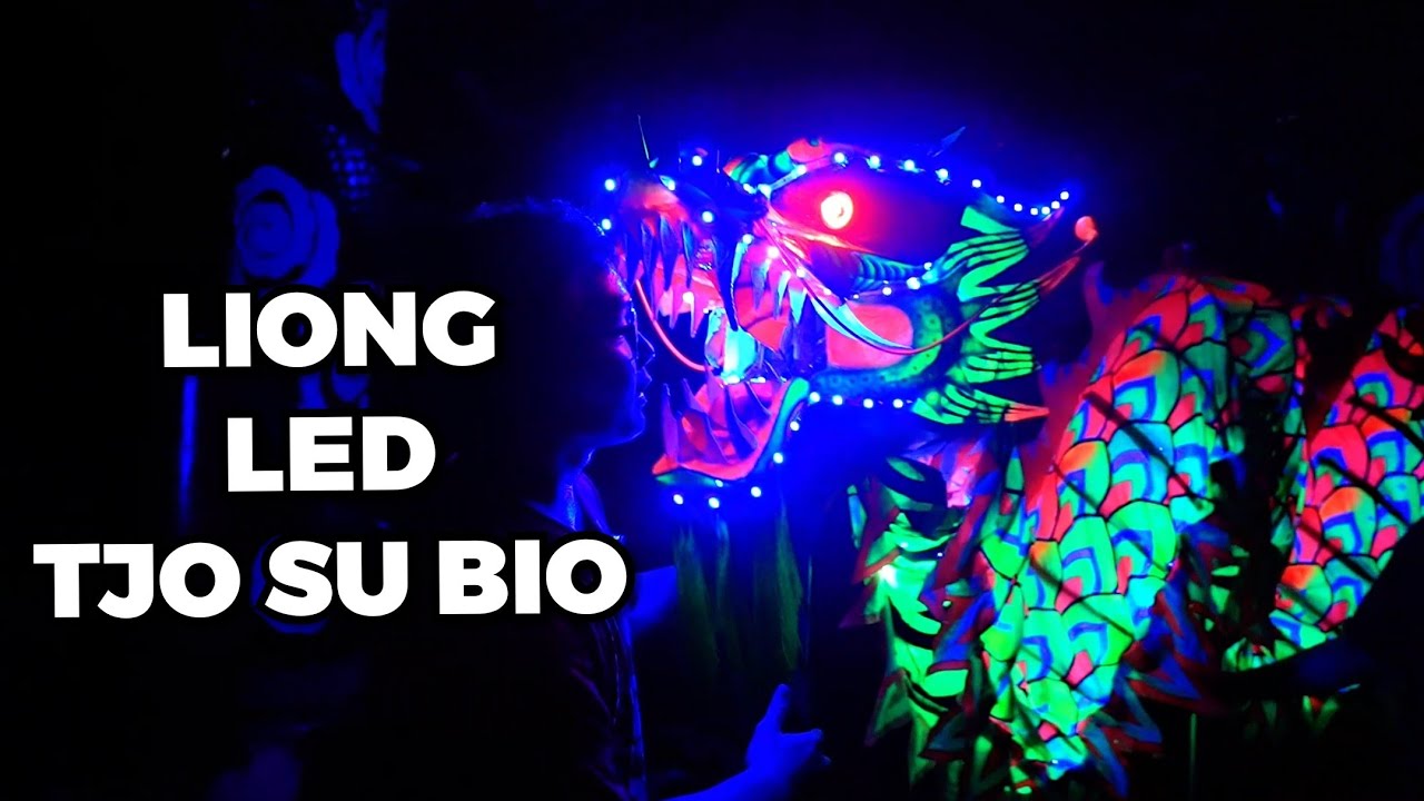 KELOVLOG - COBA SEMUA LIONG & BARONGSAI LED TJO SU BIO | WE'RE READY FOR CGM BOGOR FESTIVAL 🔥