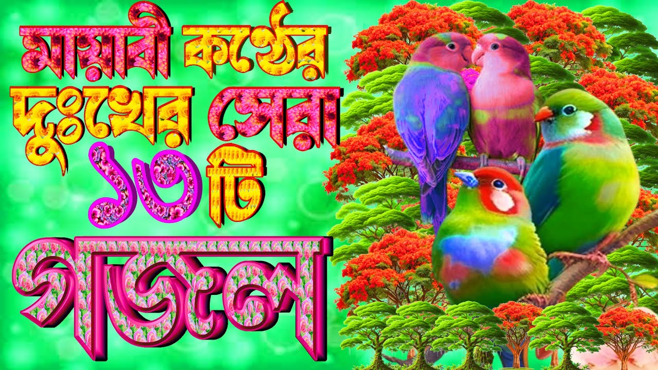 সুমধুর কন্ঠের সেরা ১১টি গজল |বাছাইকৃত নতুন গজল |New Gazal |Islamic Song  |Bangla Gojol |New Ghazal