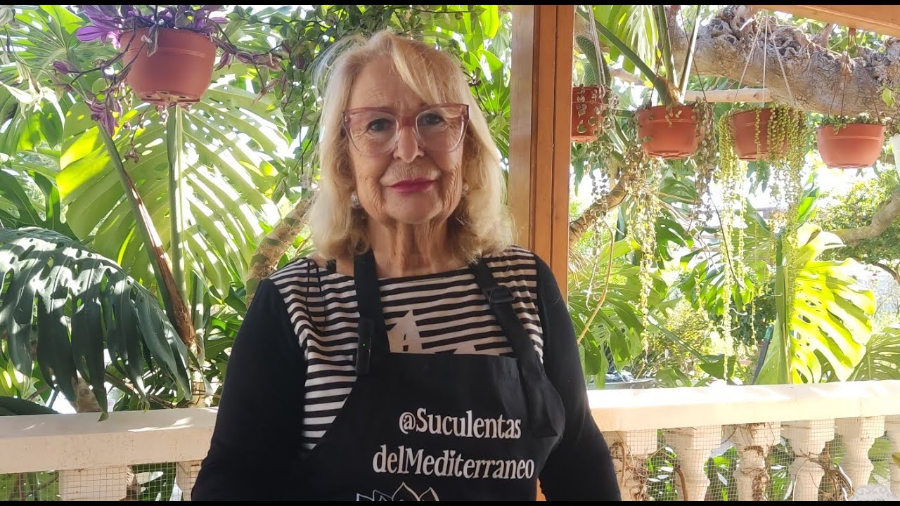 MARAVILLAS DE SUCULENTITIS