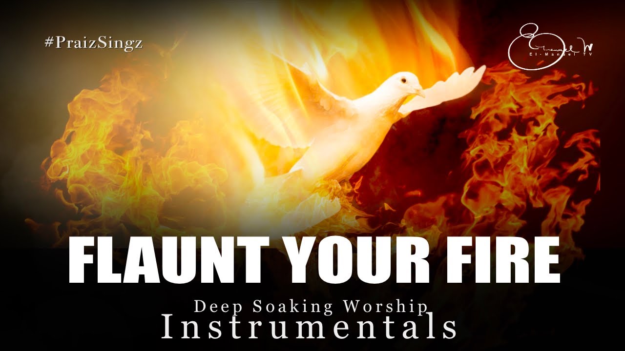 Deep Soaking Worship Instrumentals - Flaunt Your Fire Holy Ghost | Praiz Singz | Prayer Instrumental