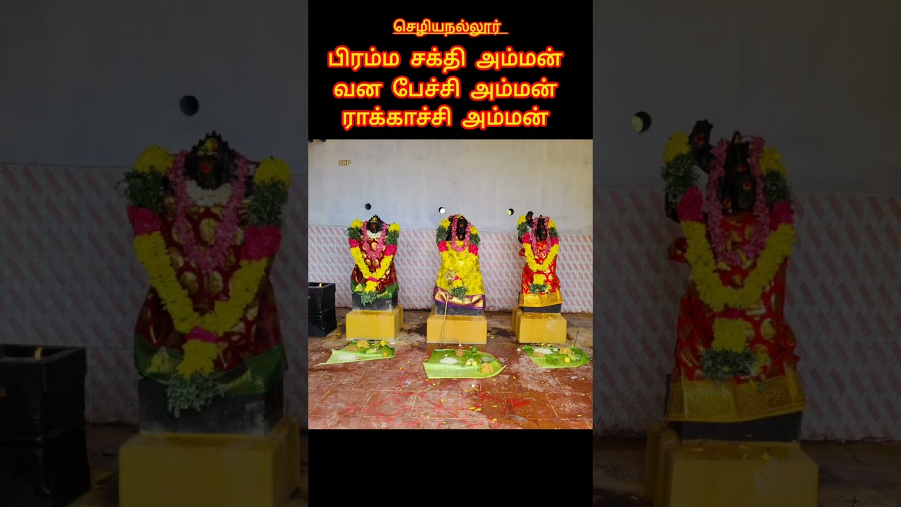 பேச்சி அம்மன் வில்லுப்பாட்டு பகுதி-4 தொப்பை மாடசாமி வில்லுப்பாட்டு #amman  #petchiamman