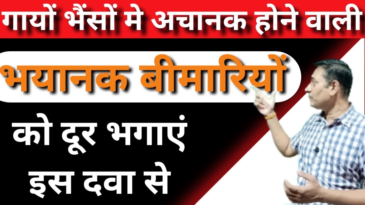 pashu ki food poisoning ka ilaj | जहरीला चारा | पशु के अफारा गैस का  ईलाज