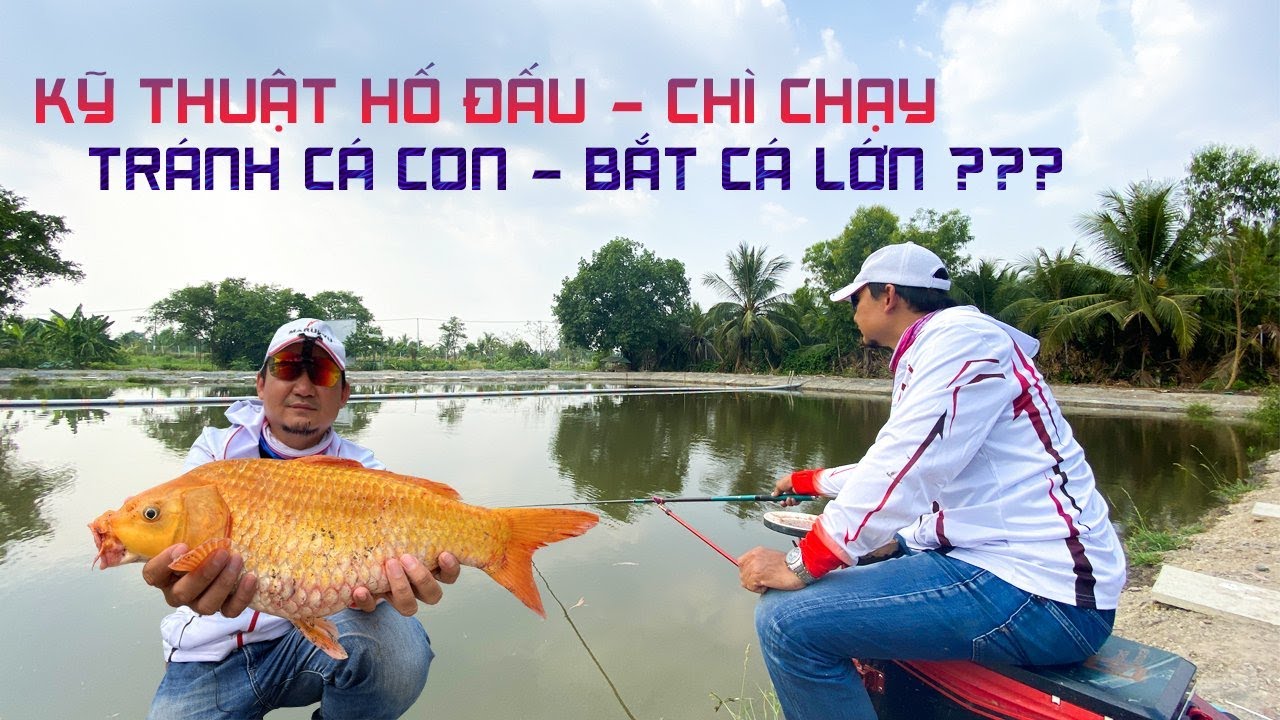 CÂU ĐÀI - KỸ THUẬT HỐ ĐẤU THEO PP CHÌ CHẠY | TRÁNH CÁ CON BẮT CÁ LỚN | CÁC TÍN HIỆU PHAO CẦN LƯU Ý.
