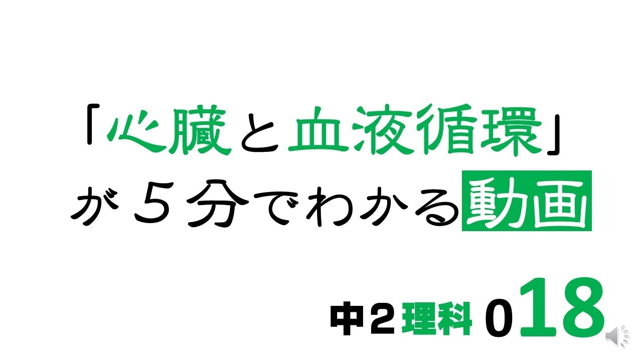 中2理科　心臓と血液循環