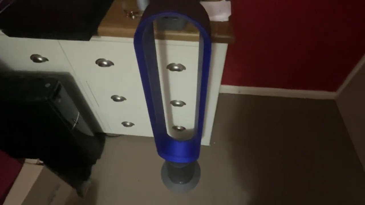 The new fan I got last Saturday