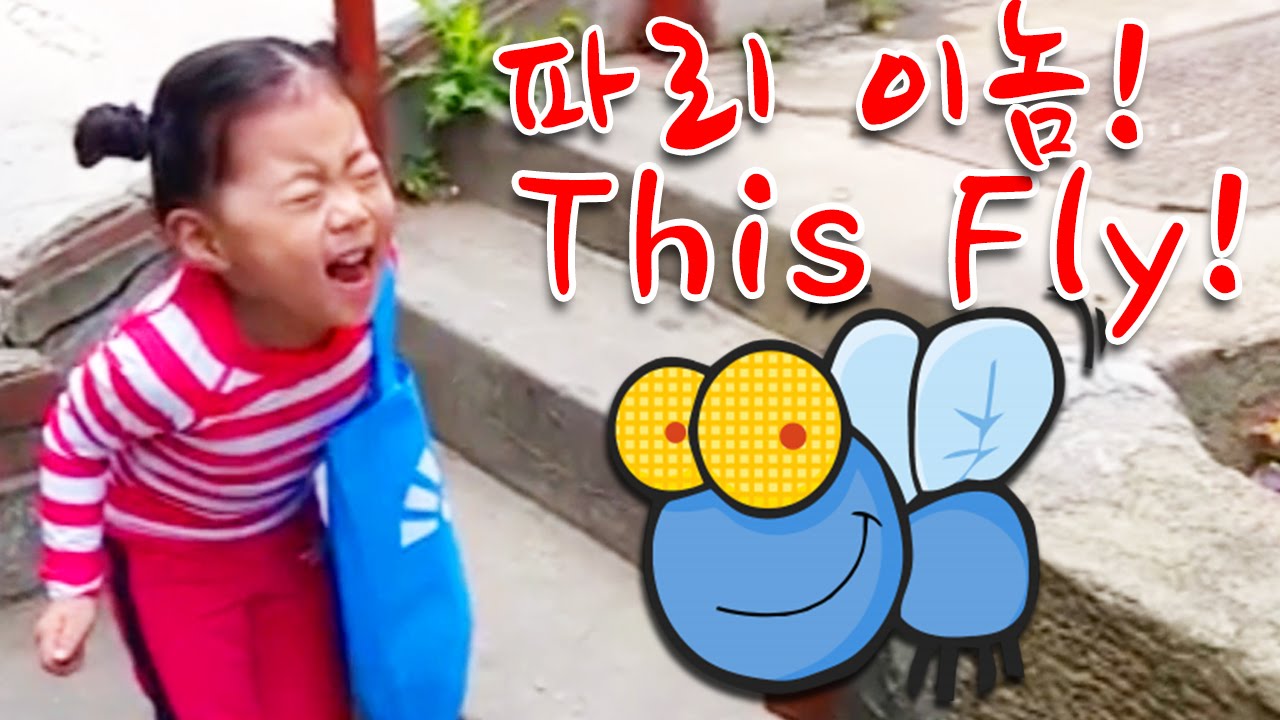 This Fly! 파리 이놈!