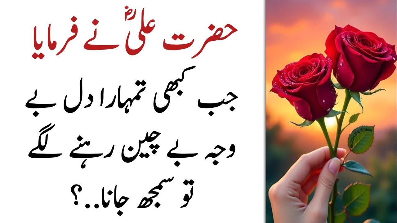 Heart Touching Shayari In Urdu | Motivational Quotes In Urdu | Hazrat Ali r.a Urdu Poetry 