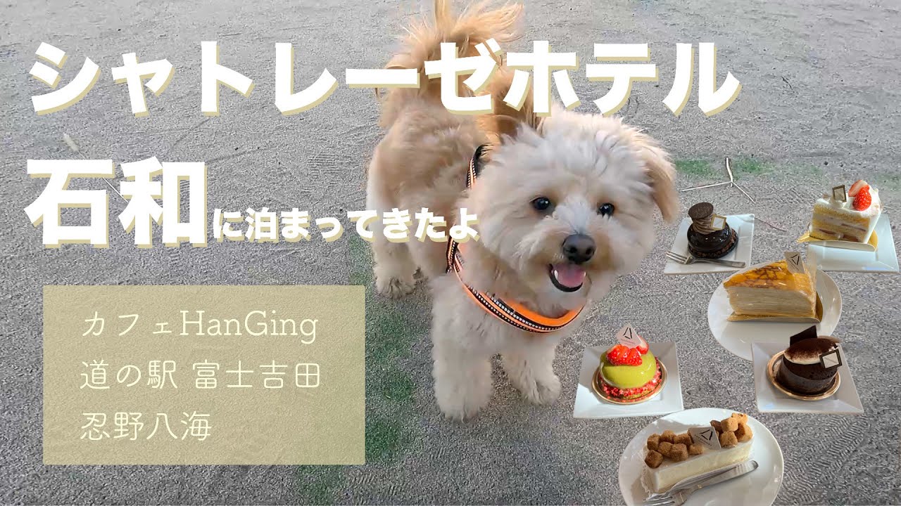 シャトレーゼホテル石和に泊まってきたよ🐶