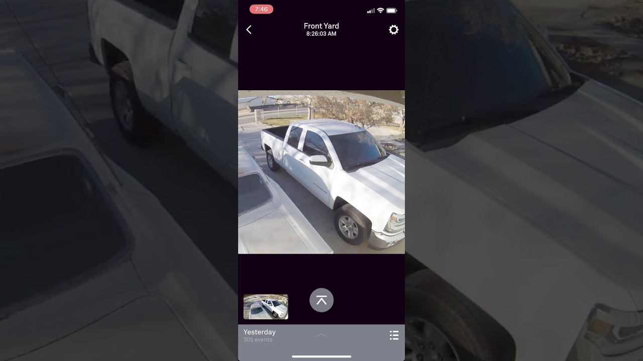 A Dog Snatches Our Door Stopper!