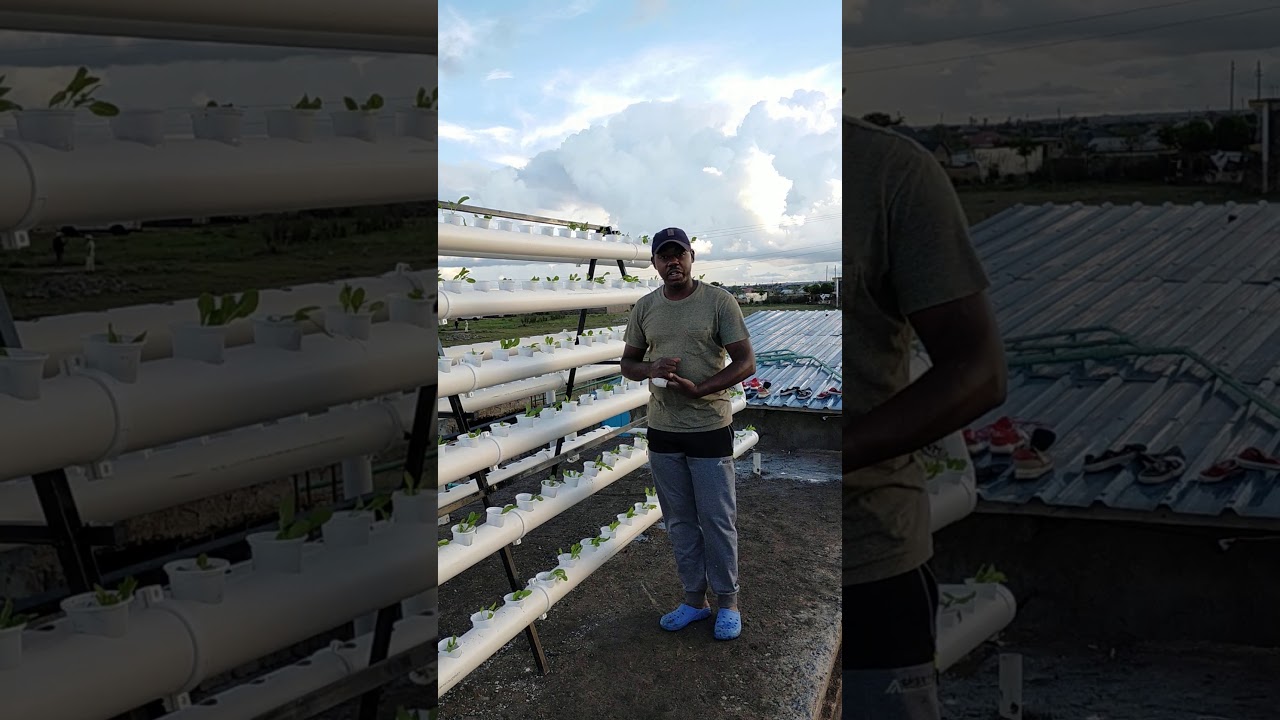 The A-Frame Hydroponic Super Structure