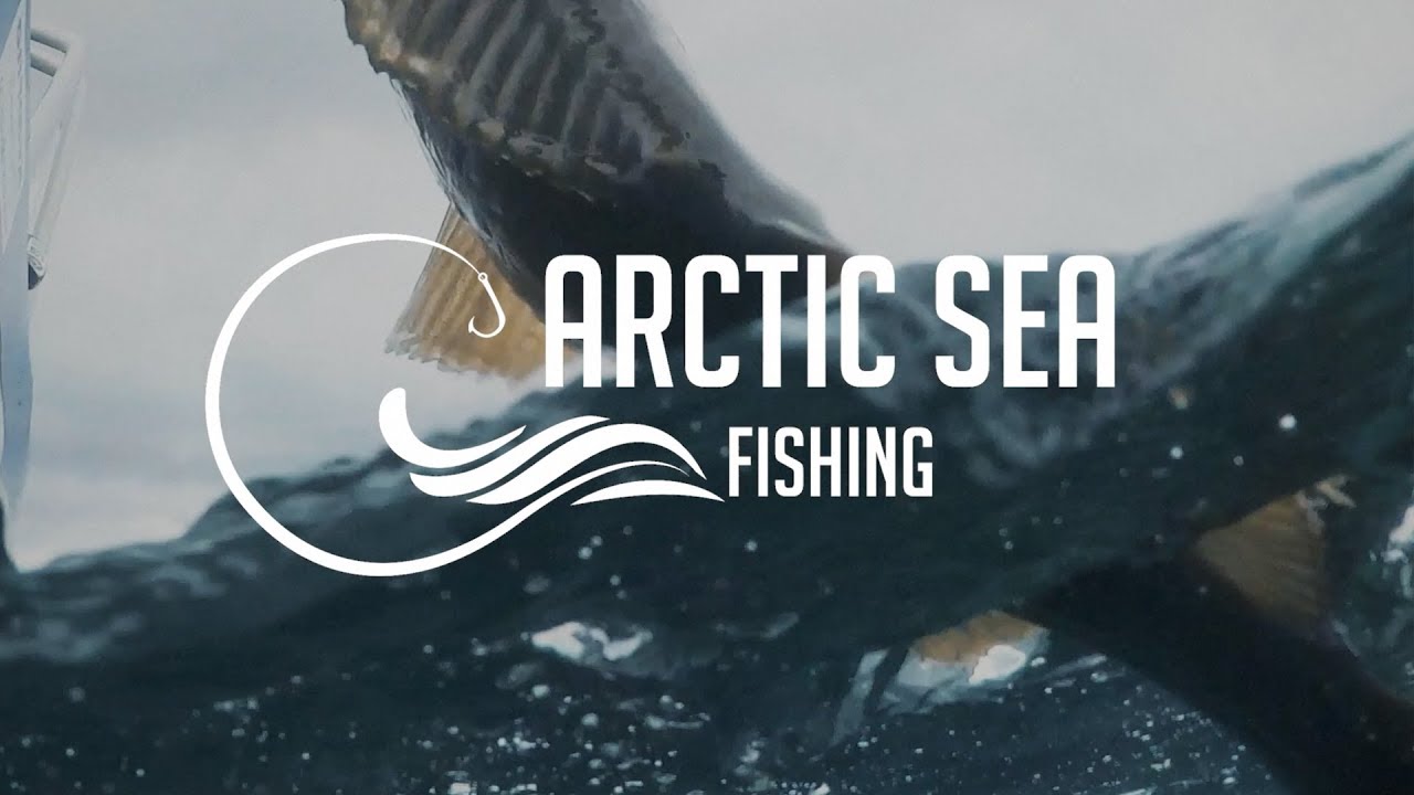 Arctic Sea Fishing - Mefjord Brygge